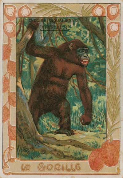 Gorilla av French School
