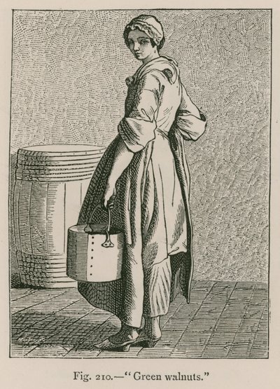 Grønne valnøtter av French School