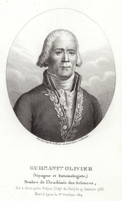 Guillaume Antoine Olivier av French School