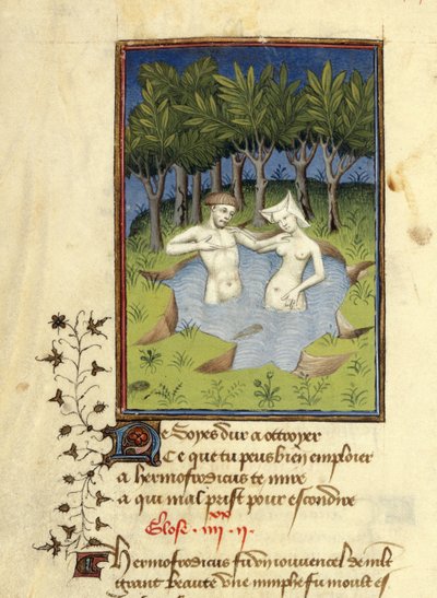 Harley MS 4431, f.132v, Miniatyr av Hermafroditus og nymfen Salmacis som bader i en innsjø, fra 