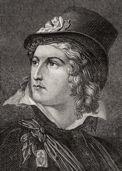 Henri du Vergier, Comte de la Rochejaquelin, fra 