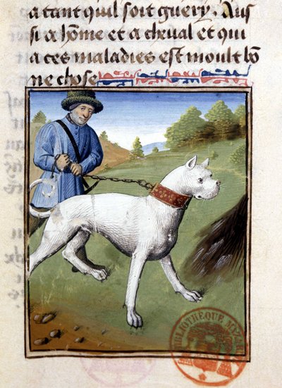 Jagdhund an der Leine gehalten - in „Jagd Buch von Gaston Phoebus, Graf von Foix, Herr von Béarn“ von French School