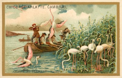 Jakt på flamingoer, Spania (chromolitho) av French School