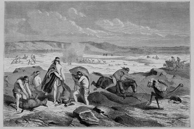 Jakt guanaco (vill lama) og nandou (eller patagonisk struts) i Argentina - i "" Tour du Monde"", 2. uke 1861 av French School