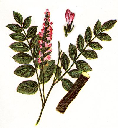 Illustration für "Mon docteur - traite de medecine et d