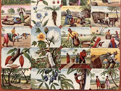 Illustrasjon for en fransk skolelærebok av ulike produkter fra koloniene, ca. 1920-30 av French School