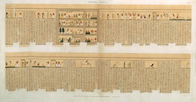 Illustrasjoner av et Pampus-manuskript med hieroglyfer, Hypogees, Theben, plate 75 fra Vol II av `Descriptions of Egypt`, gravert av Willemin, pub. 1822 (akvatint) av French School