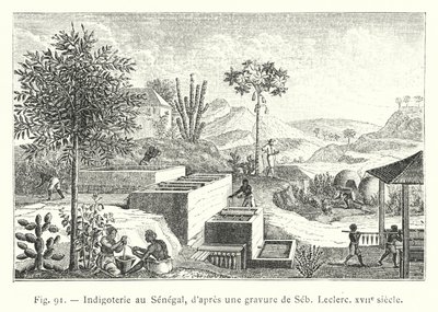 Indigoterie i Senegal, etter en gravering av Seb, Leclerc, 1600-tallet (gravering) av French School