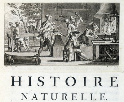 Interiør i en smie - i "" Naturhistorie, generelt og spesielt"" av Buffon av French School
