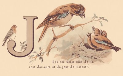J: Young Jays Pretty er spillere og glad Jolily! av French School