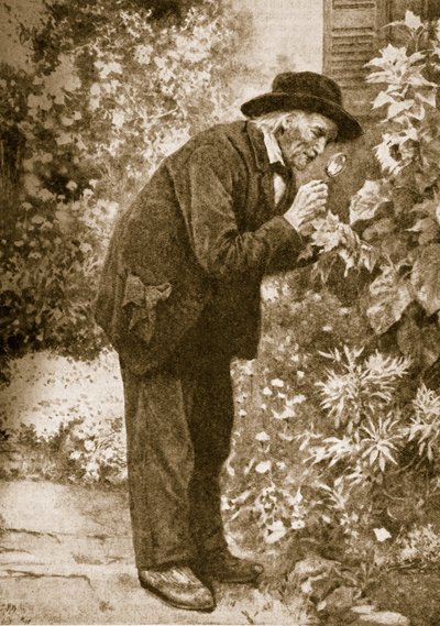 Jean-Henri Fabre observerer insekter av French School
