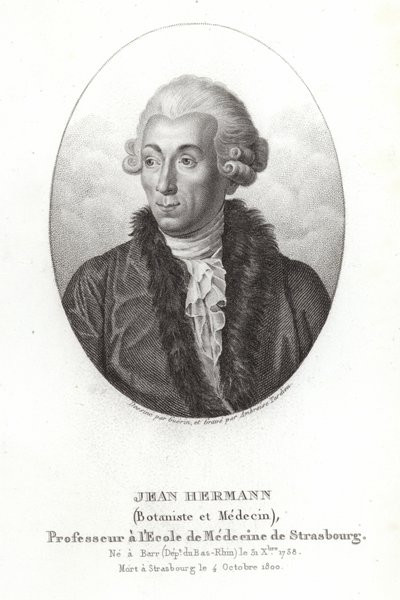 Jean Hermann av French School