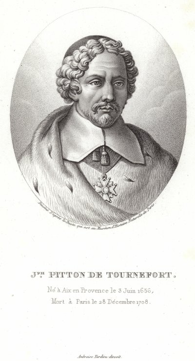 Joseph Pitton de Tournefort av French School