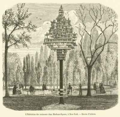 The House of Sparrows på Madison Square, New York (gravering) av French School