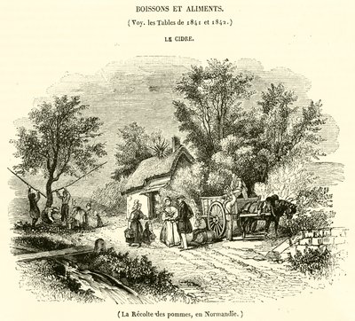 Høsting av epler i Normandie (gravering) av French School
