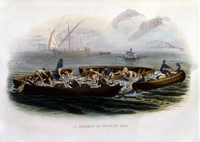 Felle- eller tunfiskfiske - i "" Natural History of Lacepède"" av French School