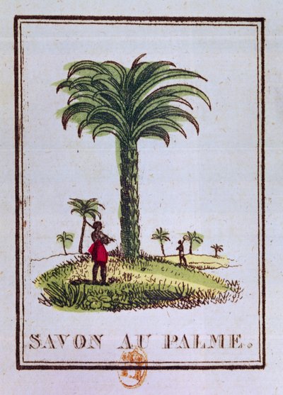 Etikett for en palmeoljeduftende såpe, som viser et palmetre av French School
