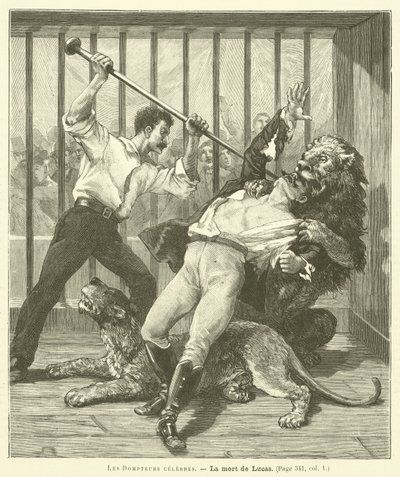The Tamer Lucas av French School