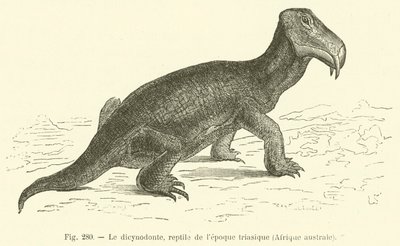 Dicynodonten, krypdyr fra triasperioden, Sør-Afrika (gravering) av French School