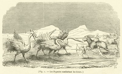 Pygmeene som kjemper mot kranene (gravering) av French School