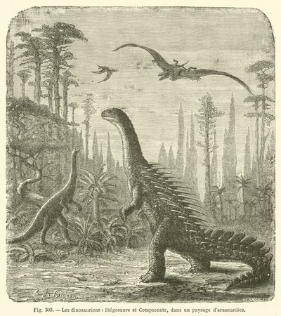 Dinosaurene, Stegosaurus og Compsonote, i et landskap av Araucariae (gravering) av French School