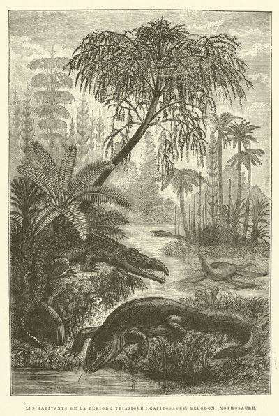 Innbyggerne i triasperioden, capitosaurus, belodon, nothosaurus (gravering) av French School