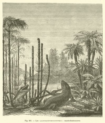Les labyrinthodontes, mastodontosaures (gravering) av French School
