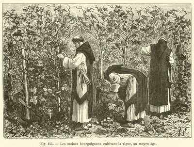 Burgundiske munker som dyrker vinstokker, i middelalderen (gravering) av French School