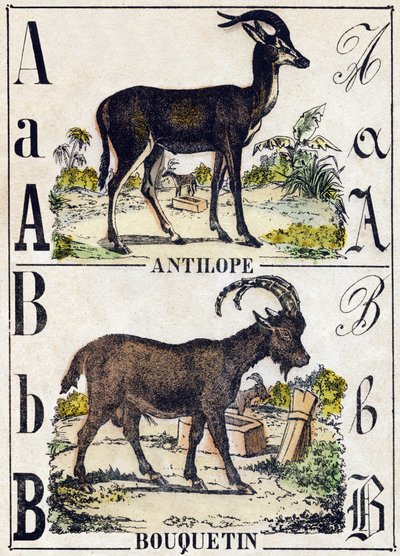Bokstav A antilope; B Ibex. Gravering i "" Alphabet des animaux sauvages"". 9. serie. Bilder av Epinal, Pellerin, trykkeri-utgiver, ca. 1870. Graveringer på tre, stensilert. 16 sider. Mål: 20 x 15 cm. Privat samling av French School