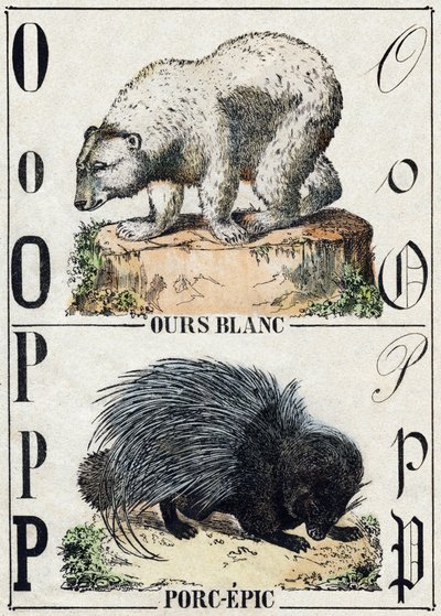 Bokstaven O Bjørn; P Svine-epos (Grise-epos). Gravering i "" Alphabet des animaux sauvages"". 9. serie. Bilder av Epinal, Pellerin, trykkeri-utgiver, ca. 1870. Graveringer på tre, stensilert. 16 sider. Mål: 20 x 15 cm. Privat samling av French School