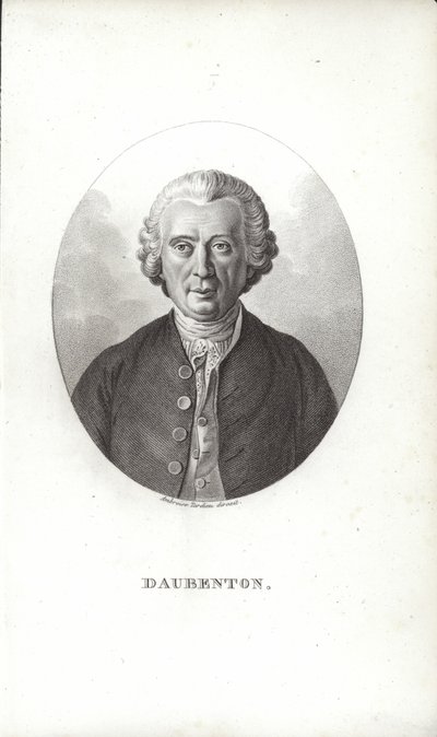 Louis-Jean-Marie Daubenton av French School