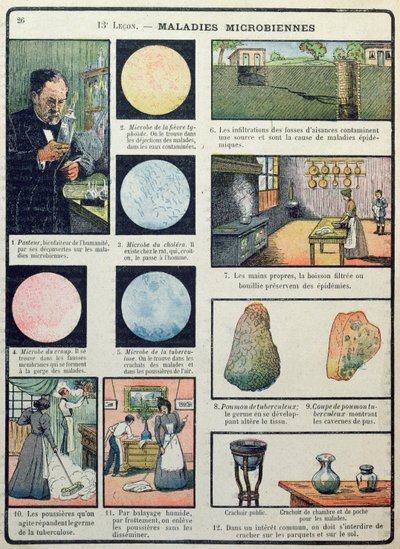Louis Pasteur (1822-95) og bakterielle sykdommer, fra Les Sciences Physiques et Naturelles, Paris, 1908 av French School