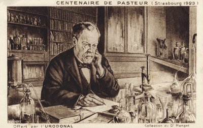 Louis Pasteur av French School