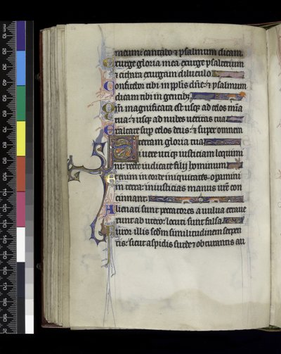 MS 300 f.61v, folio fra Psalter and Hours of Isabella of France, Paris, ca. 1265-70 av French School