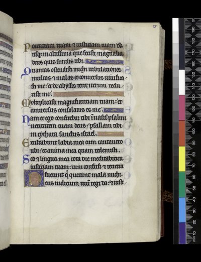 MS 300 f.75r, fra Psalter and Hours of Isabella of France, Paris, ca. 1265-70 (penn og blekk og tempera på pergament) av French School