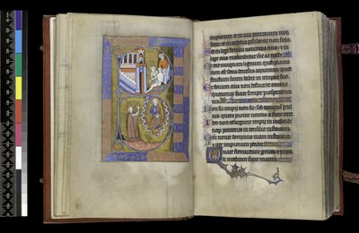 MS 300 f.XIII-1r, fra Psalter and Hours of Isabella of France, Paris, ca. 1265-70 (penn og blekk og tempera på pergament) av French School