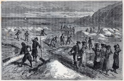 Marais salants de Bretagne på 1800-tallet - Gravering i "Vitenskaper brakt til stipendenes takknemlige - fysikk og kjemi" av Alexis Clerc - Sent på 1800-tallet - Privat samling av French School
