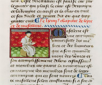 Ms.Fr.22532 Fol.118 Leper, fra The Book of the Properties of Things av Barthelemy lAnglais av French School