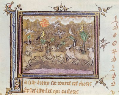 Ms 1044 fol.18 The Creation of the Animals, fra Ovide Moralise skrevet av Chretien Legouais av French School