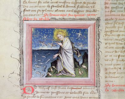 Ms 313 Creation of the Animals, fra Bible des Grands Augustins av French School