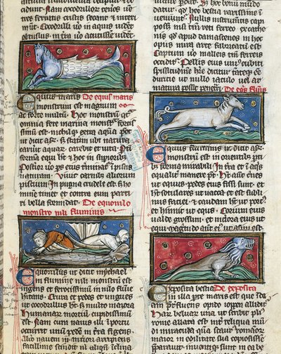 Ms 320 Fol.115r Sea Monsters, fra 'De Natura rerum' av Thomas van Cantimpre (1201-72) (vellum) av French School