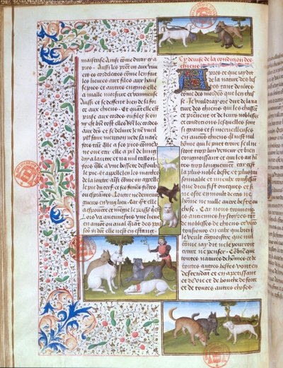 Ms 3717 jakthunder, fra Livre de la Chasse av Gaston Phebus de Foix (1331-91) (vellum) av French School