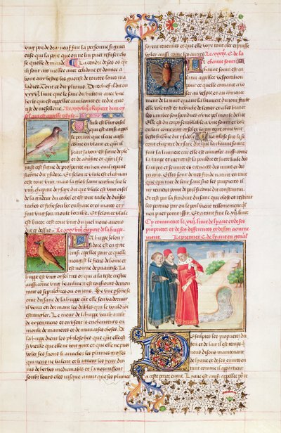 Ms 399 fol. 149 The Properties of the Tortoise, the Hoopoe and the Bat, fra 