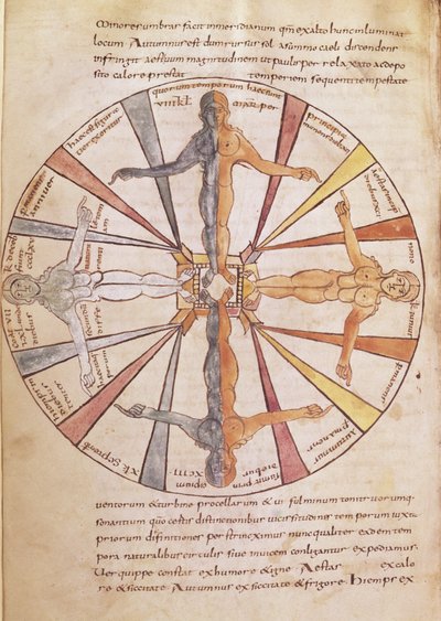 Ms 422 fol.6v Årstidene og månedenes hjul, fra De Natura Rerum av St. Isidore of Sevilla av French School