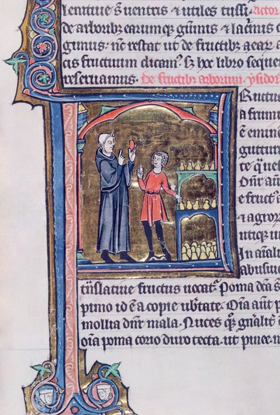 Ms 426 fol.135 Undervisning om den beste måten å konservere pærer på, fra Le Miroir de la Nature av Vincent de Beauvais av French School