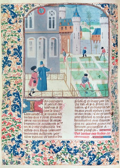 Ms 5064 f.151v The Garden, illustrasjon fra Le Livre des Prouffitz Champestres av Pietro de Crescenzi (1230-132021) av French School