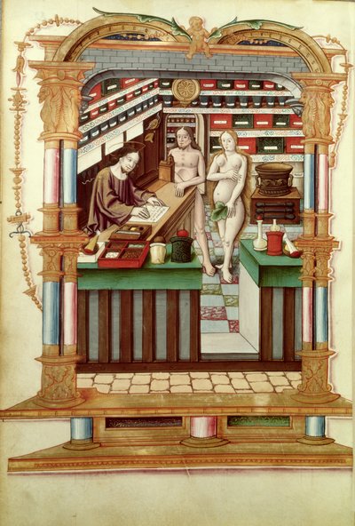 Fr 1537 Christ the Pharmacist med Adam og Eva, fra Chants royaux sur la Conception Couronnee du Puy de Rouen av French School
