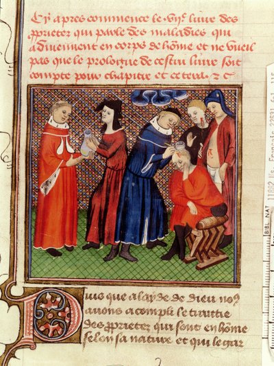 Fr 22531 Fol.115 Urinundersøkelsen og sårheling, fra Le Livre des Proprietes des Choses av Barthelemy lAnglais, ca. 1410-15 av French School