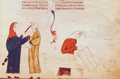 Ms Lat 9187 fol.24 Torturscene, fra Les Coutumes de Toulouse av French School