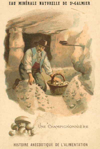 Soppdyrker (chromolitho) av French School